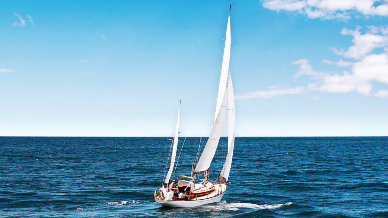 Łodzie na sprzedaż